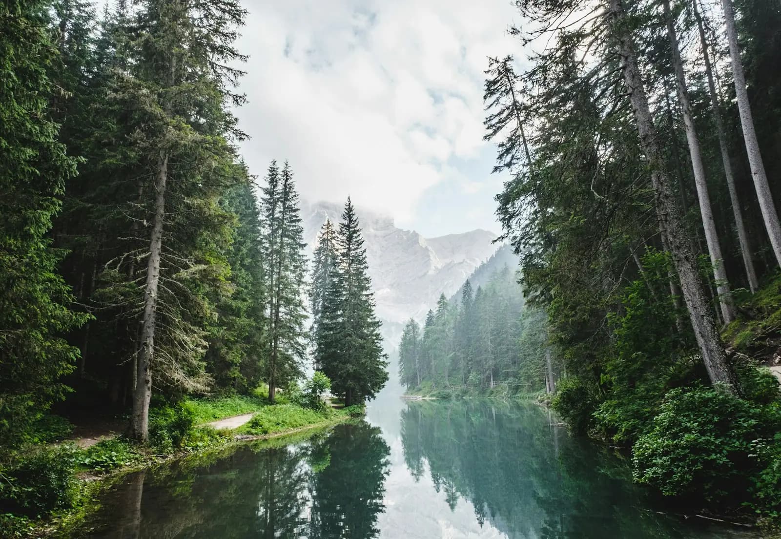 Mountain lake surrounded by coniferous forest